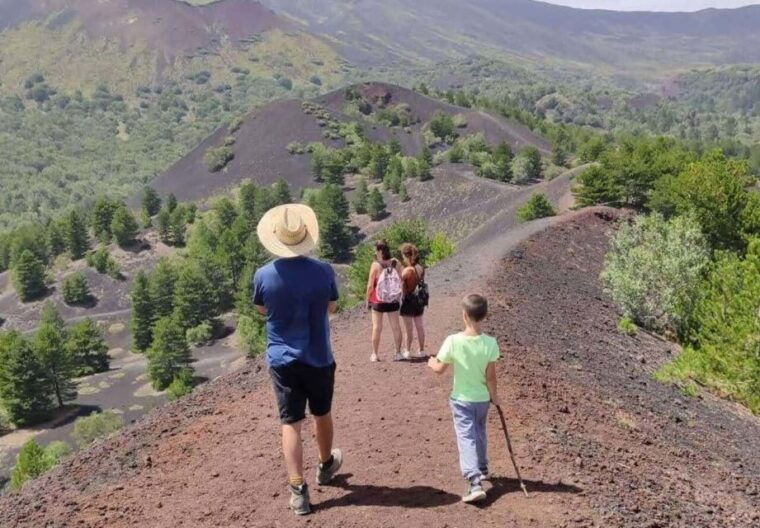 from-catania-guided-hike-on-etna-wines-and-nibbles