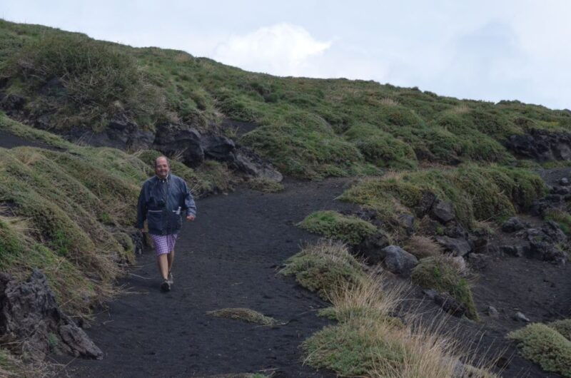from-catania-mount-etna-half-day-tour-and-wine-experience