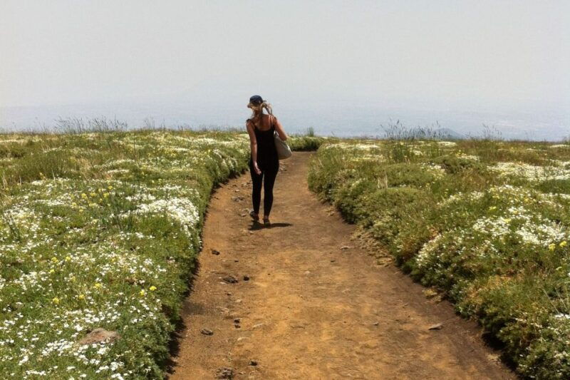 from-catania-mount-etna-half-day-tour-and-wine-experience