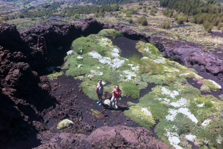 from-catania-mount-etna-half-day-tour-and-wine-experience