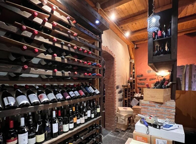from-catania-mt-etna-silvestri-craters-and-wine-tasting