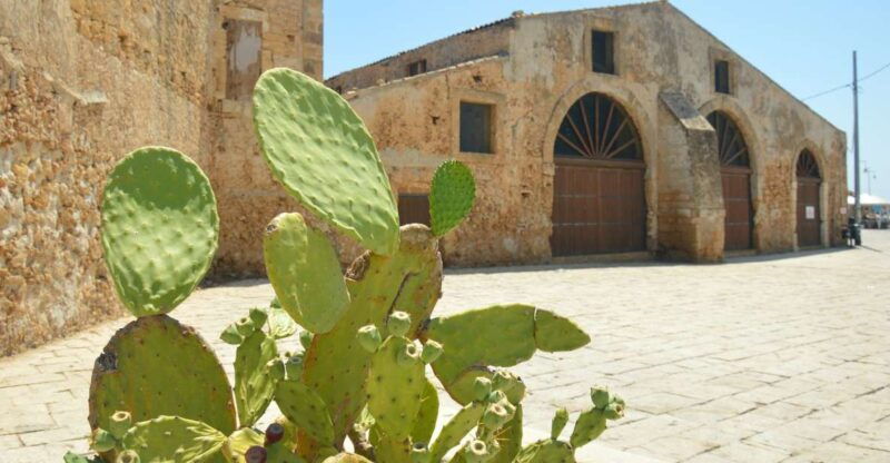 from-catania-syracuse-ortigia-marzamemi-full-day-tour