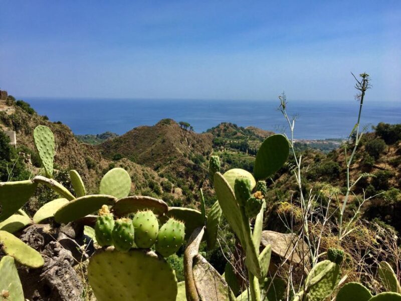 From Catania: The Godfather Movie Day Trip in Sicily - FAQs