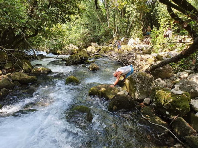 From Cavtat: Konavle Valley Off-Road Jeep Safari with Lunch - Who This Tour Suits Best