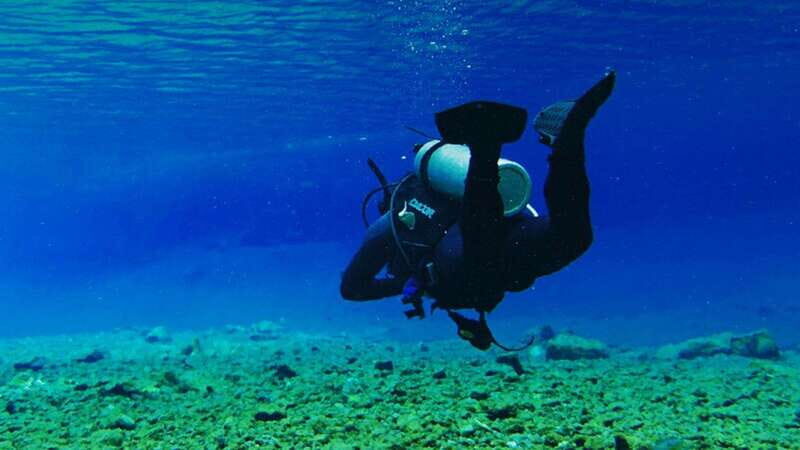 From CDMX: Private visit to Las Estacas Natural Park - What To Bring