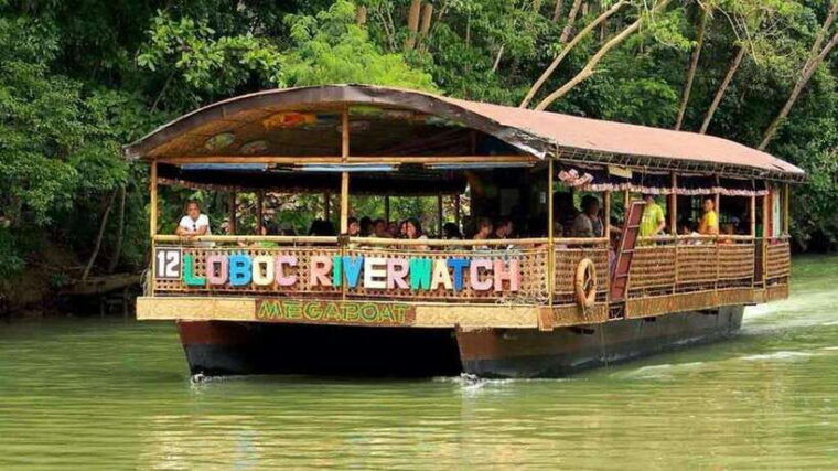 from-cebu-bohol-countryside-private-tour-with-buffet-lunch
