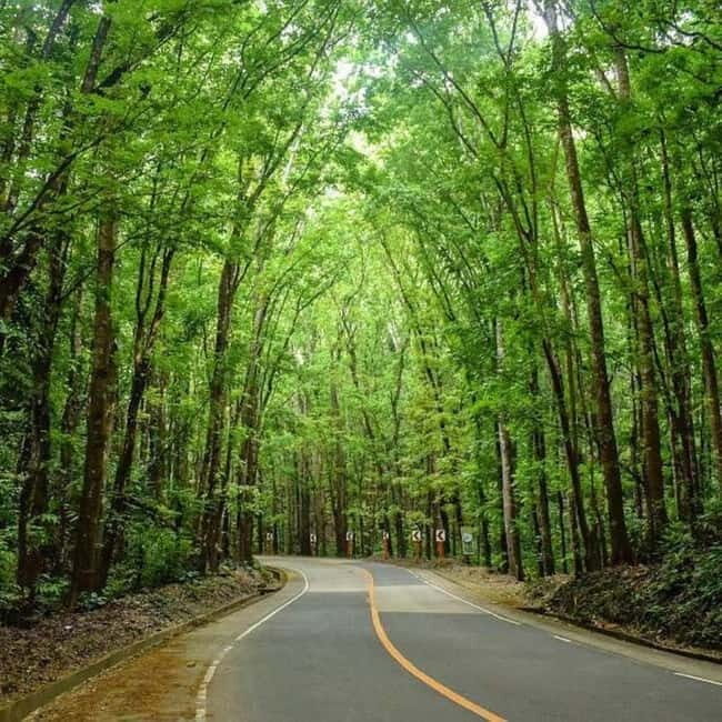 From Cebu: Bohol Countryside Tour Day Trip with Buffet Lunch - Authentic Experiences and Hidden Insights