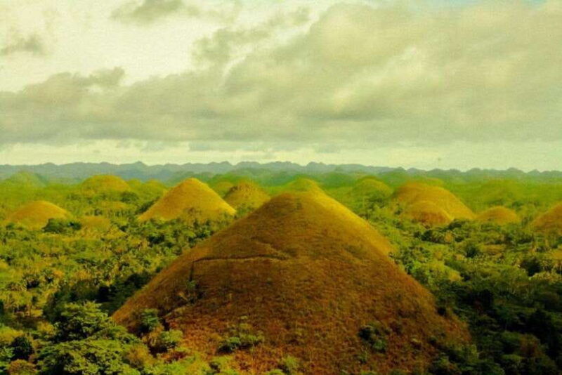 from-cebu-bohol-countryside-tour-day-trip-with-buffet-lunch