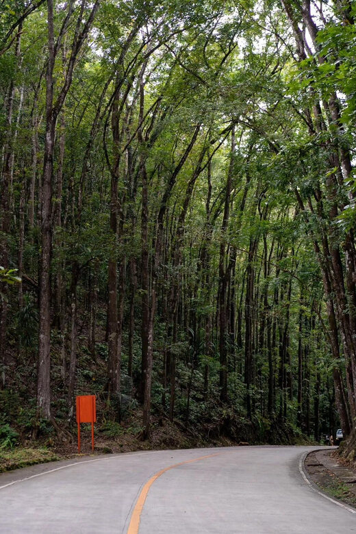 From Cebu-Bohol Day Tour with Roundtrip Ferry Transfers - The Practicalities: Transport, Timing, and Flexibility