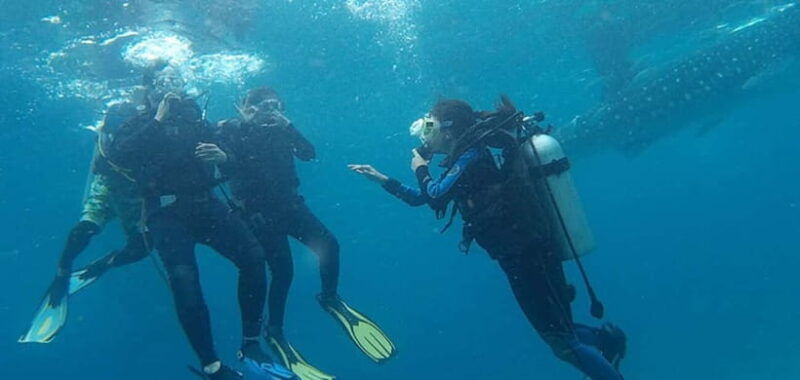 from-cebu-city-scuba-diving-with-whale-sharks-trip-in-oslob