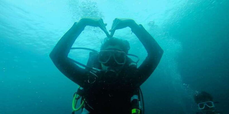 from-cebu-city-scuba-diving-with-whale-sharks-trip-in-oslob