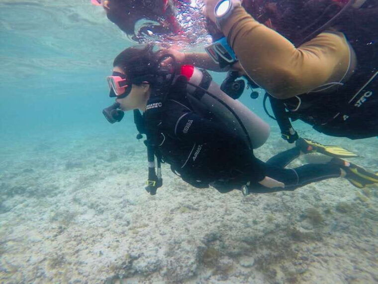from-cebu-city-scuba-diving-with-whale-sharks-trip-in-oslob