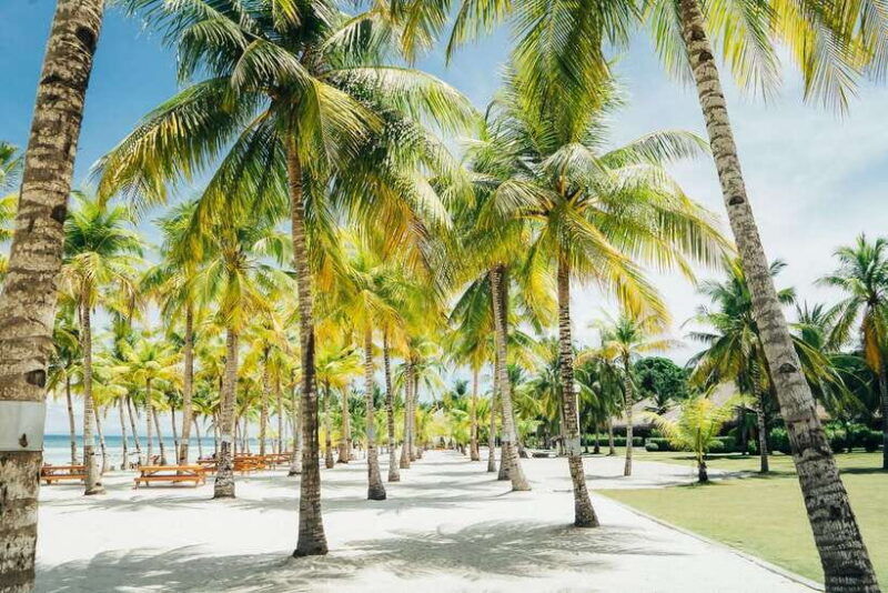 from-cebu-day-trip-to-bohol-highlights