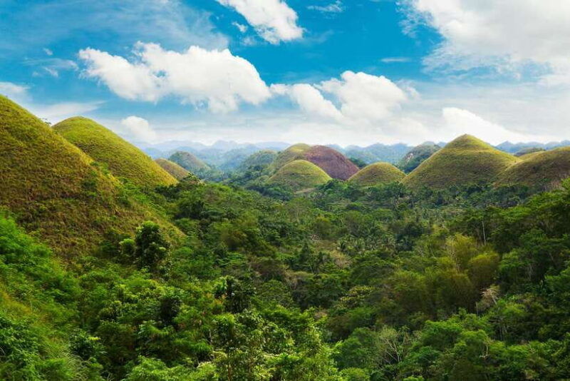 from-cebu-day-trip-to-bohol-highlights