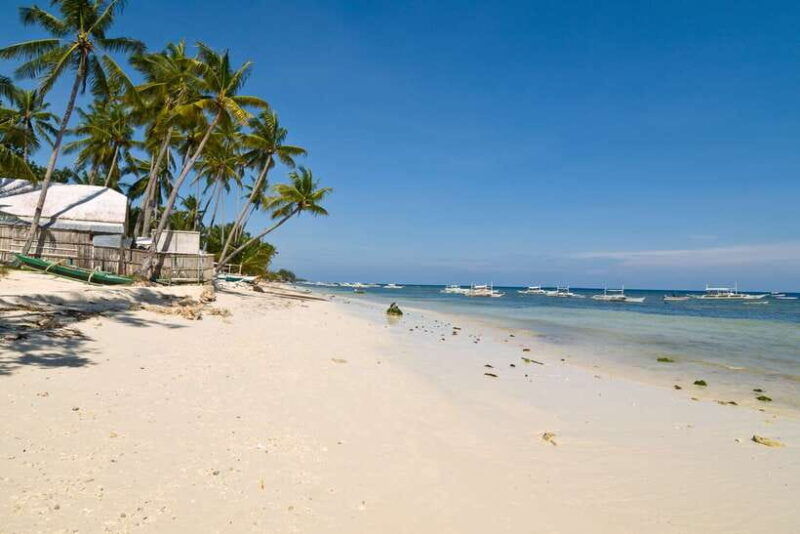 from-cebu-day-trip-to-bohol-highlights