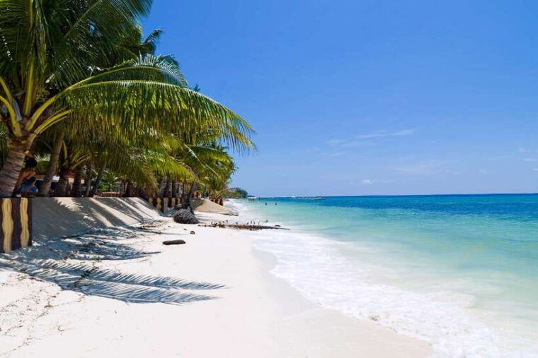 from-cebu-day-trip-to-bohol-highlights