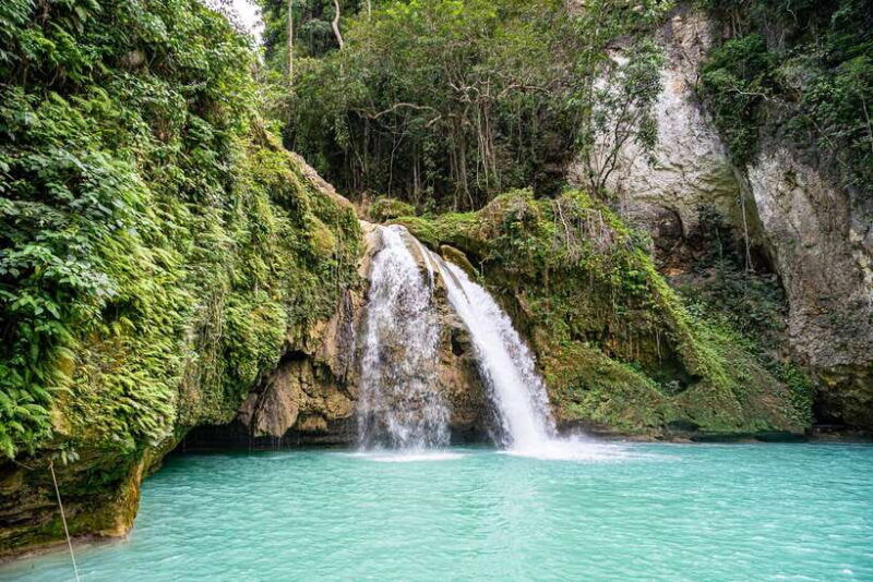 from-cebu-whale-shark-snorkeling-kawasan-canyoning-tour