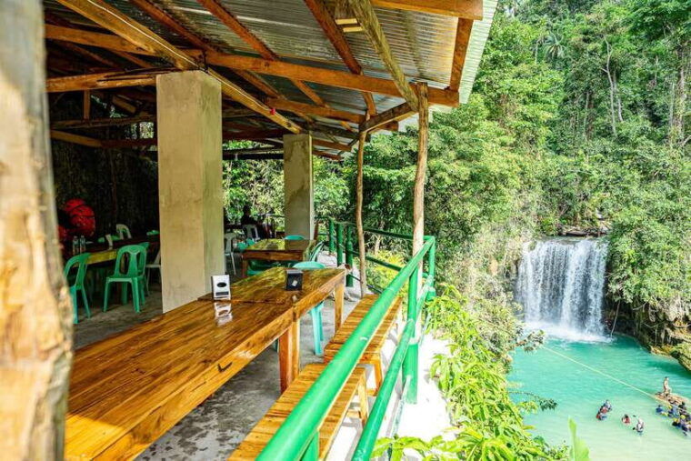 from-cebu-whale-shark-snorkeling-kawasan-canyoning-tour