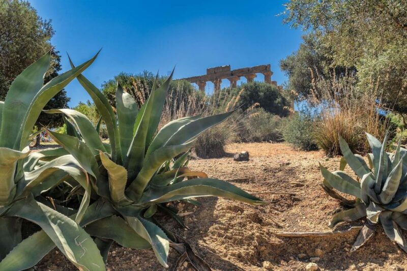 from-cefalu-guided-tour-to-agrigento-valley-of-the-temples