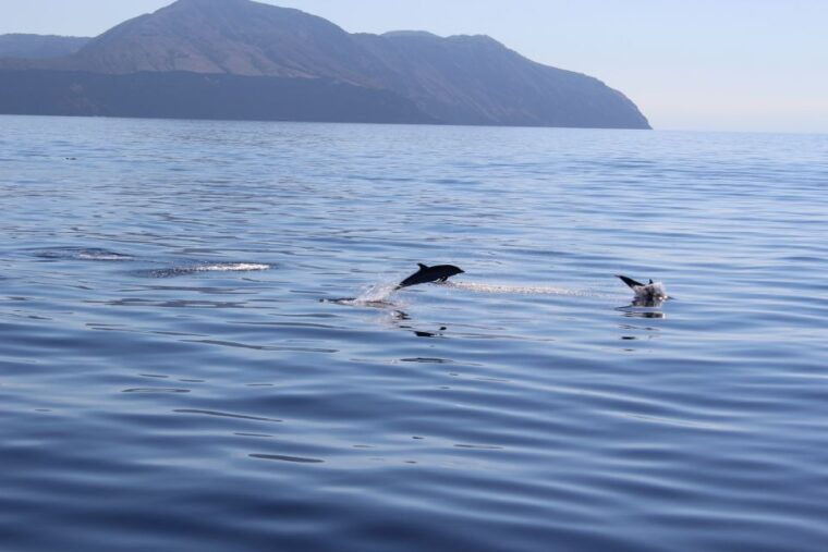 from-cefalu-salina-panarea-stromboli-tour-with-boat-ride