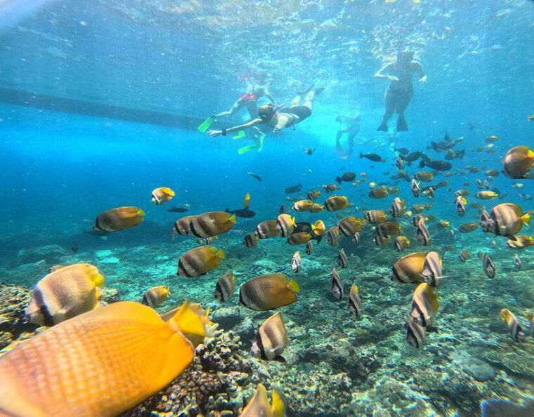 from-ceningan-snorkeling-with-manta-rays-at-manta-point