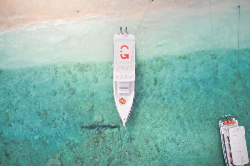 From Ceningan: Snorkeling with Manta Rays & Land Tour - Key Points