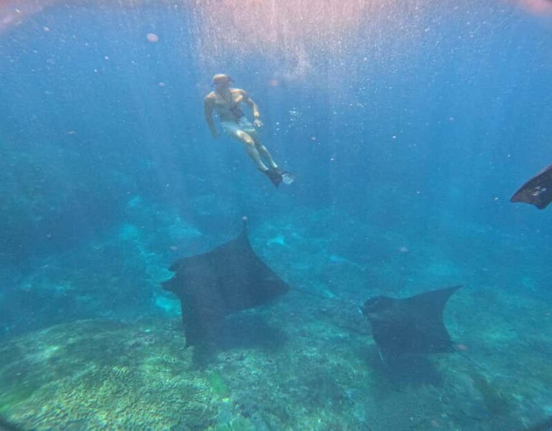 From Ceningan: Snorkeling with Manta Rays & Land Tour - Authentic Experiences Based on Reviews