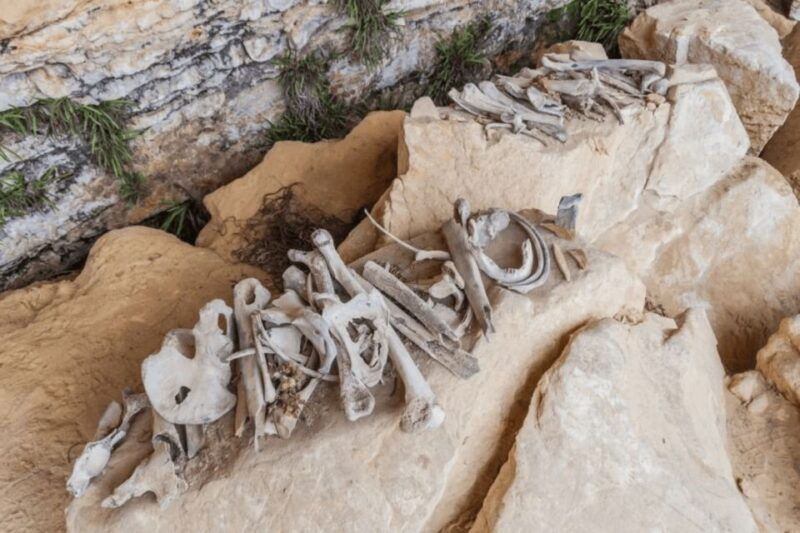 from-chachapoyas-full-day-to-the-sarcophagis-of-karajia