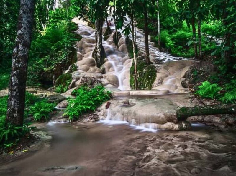 From Chang Mai: Sticky Waterfall Private Day Trip - Key Points