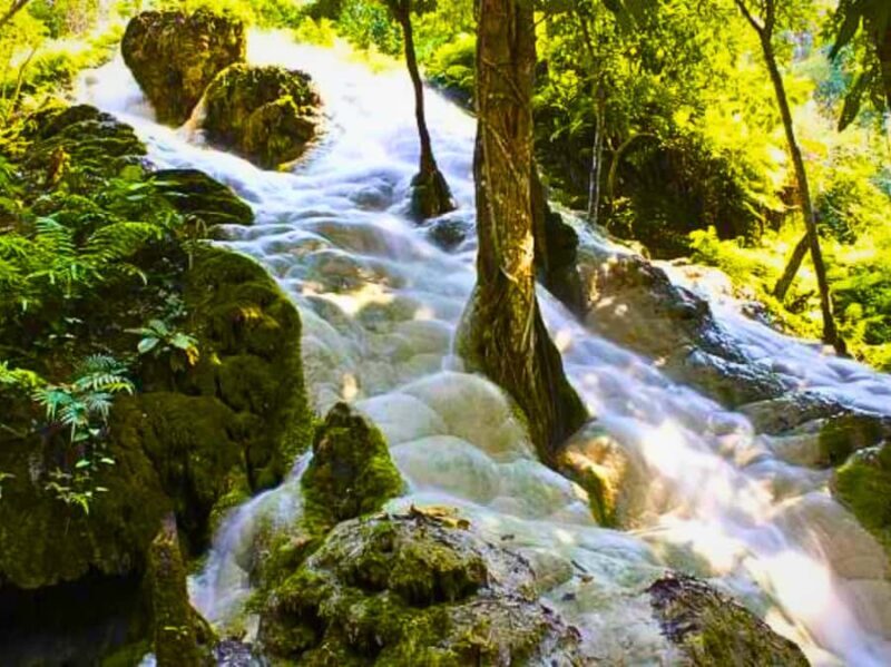 From Chang Mai: Sticky Waterfall Private Day Trip - Introduction