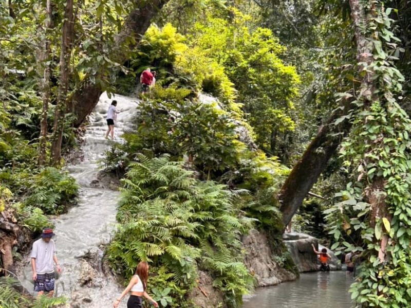 From Chang Mai: Sticky Waterfall Private Day Trip - Why This Tour Is Worth Considering