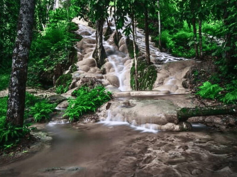 from-chang-mai-sticky-waterfall-private-day-trip
