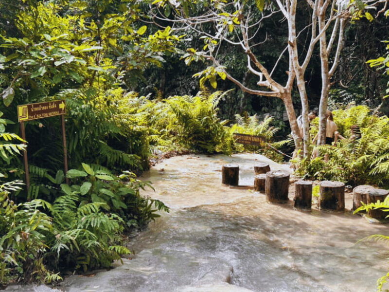 from-chang-mai-sticky-waterfall-private-day-trip