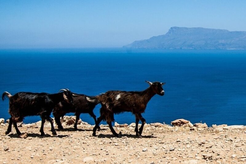 From Chania: Balos Lagoon & Falassarna Private 4WD Road Trip - Who Will Love This Experience?