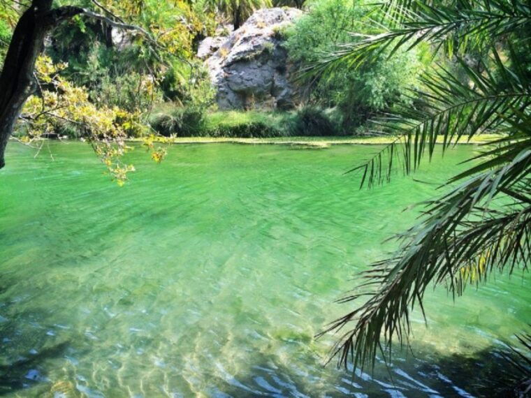 from-chania-day-trip-to-preveli-palm-beach