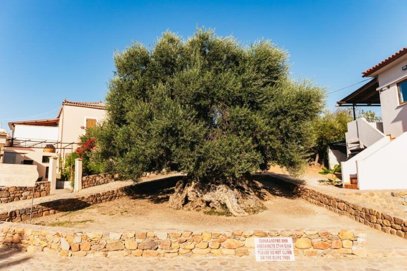 from-chania-elafonisi-and-falasarna-guided-tour-with-snacks