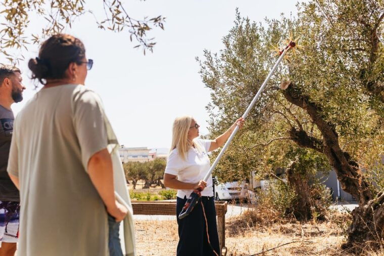 from-chania-elafonisi-and-falasarna-guided-tour-with-snacks