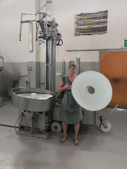 From Chania: Falassarna Beach, Wine & Olive Oil Private Tour - Key Points  