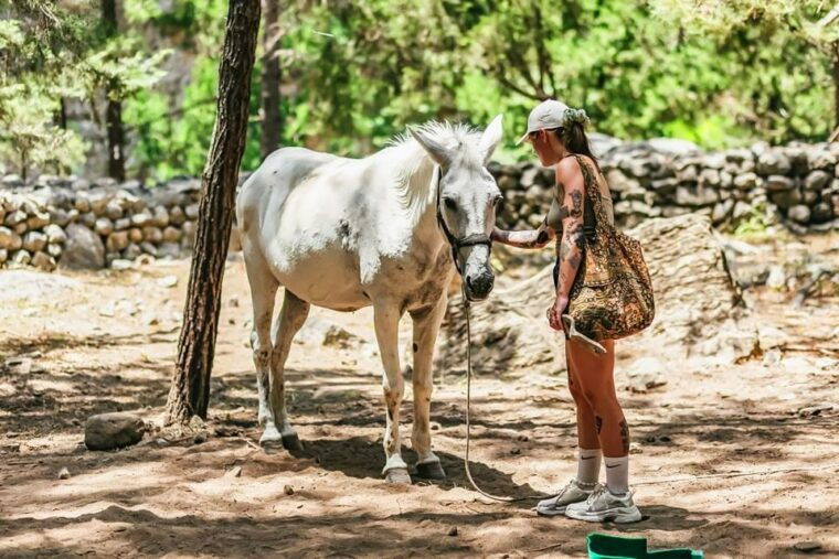 from-chania-full-day-samaria-gorge-trek-excursion-guide