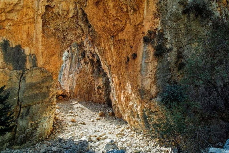 From Chania: Imbros Gorge and Sfakia Experience Hike & Swim - What the Tour Offers