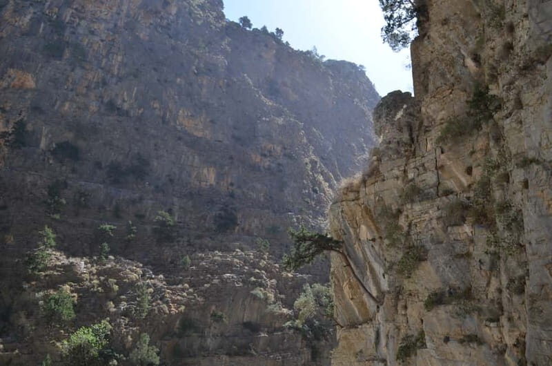 From Chania/Kalyves: Full-Day Samaria Gorge Hiking Day Trip - Scenic Stop at Omalos Plateau