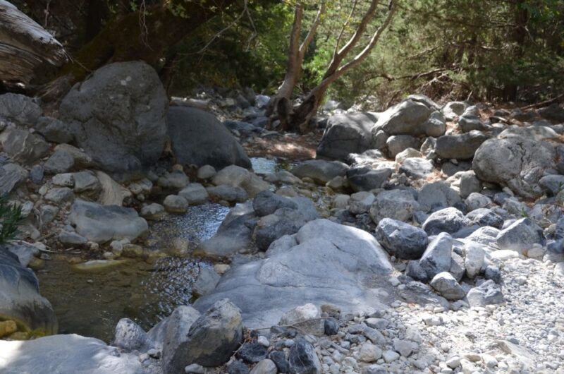 From Chania/Kalyves: Full-Day Samaria Gorge Hiking Day Trip - Scenic Ferry and Return Journey