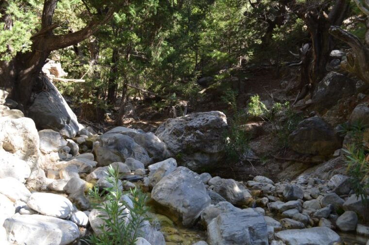 from-chania-kalyves-full-day-samaria-gorge-hiking-day-trip