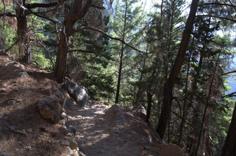 from-chania-kalyves-full-day-samaria-gorge-hiking-day-trip