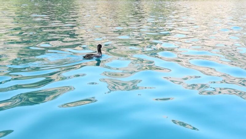 from-chania-lake-kournas-argiroupoli-springs-guided-tour