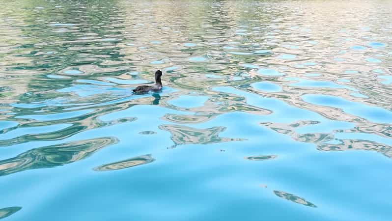 from-chania-lake-kournas-argiroupoli-springs-guided-tour