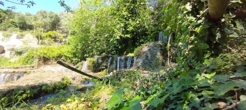 from-chania-lake-kournas-argiroupoli-springs-guided-tour