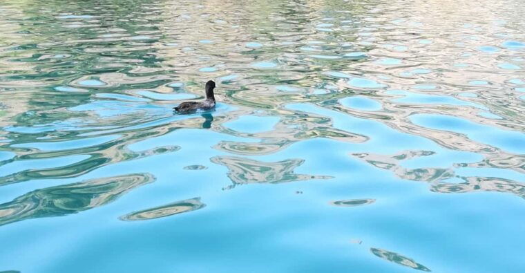 from-chania-lake-kournas-argiroupoli-springs-guided-tour