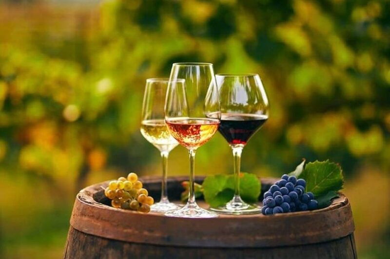 from-chania-olive-oil-wine-cheese-honey-tasting-tour