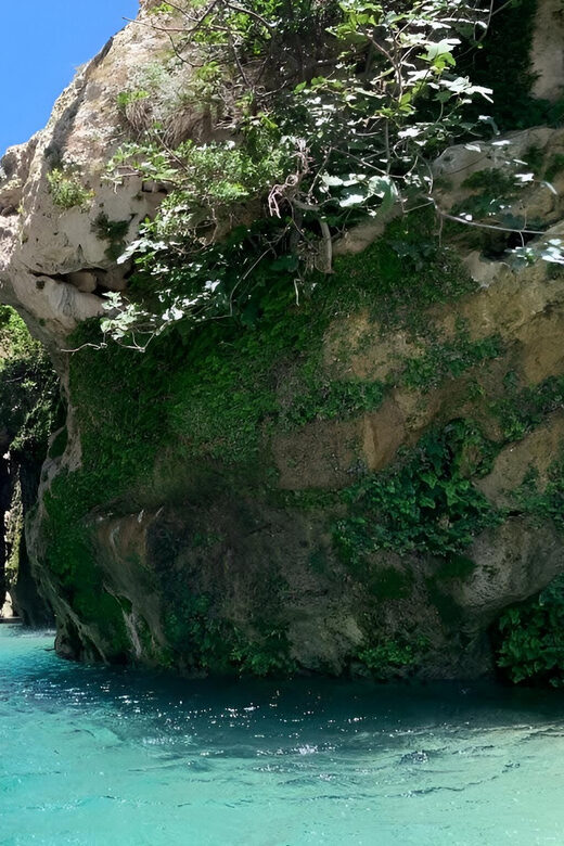From Chania: Preveli Palm Beach and Kourtaliotis Waterfalls - Who Is This Tour Best For?